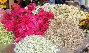 கார்த்திகை தீபத்தையொட்டி பூக்கள் விலை உயர்வு - விவசாயிகள் மகிழ்ச்சி