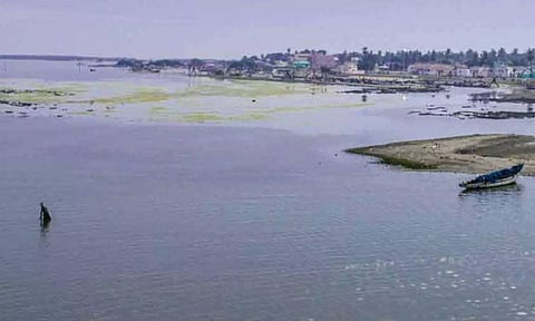 பழவேற்காடு முகத்துவாரத்தில் சுவர் கட்ட தேசிய வனவிலங்கு வாரியம் ஒப்புதல்- அதிகாரி தகவல்