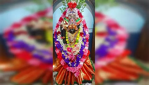 கோபணம்பாளையம் பாலமுருகன் சிறப்பு அலங்காரத்தில் அருள் பாலித்த காட்சி.