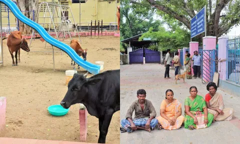 சாலைகளில் சுற்றித்திரிந்த மாடுகள் சிறுவர் பூங்காவில் அடைப்பு- உரிமையாளர்கள் போராட்டம்