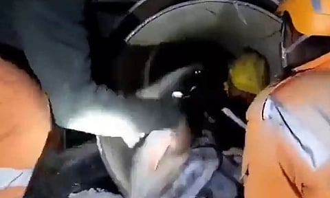 சுரங்க தொழிலாளர்கள் மீட்பில் முக்கிய பங்காற்றிய "Rat-Hole Miners": யார் இவர்கள்?