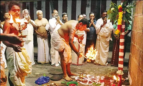 நாகராஜா கோவிலில் தைத்திருவிழா கால்நாட்டு நிகழ்ச்சி