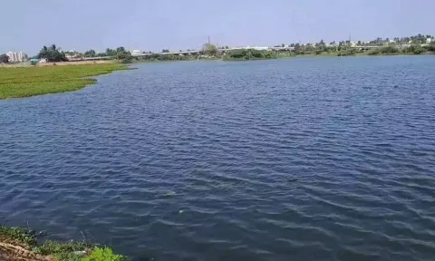 காஞ்சிபுரம்-செங்கல்பட்டு மாவட்டத்தில் 174 ஏரிகள் நிரம்பின