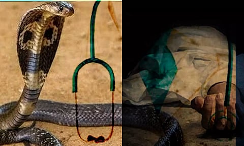 பட்டம் வாங்கிய சில மணி நேரத்தில் எம்.பி.பி.எஸ் மாணவர் பாம்பு கடித்து பலி