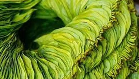 வரத்து அதிகரிப்பால் வெற்றிலை விலை வீழ்ச்சி