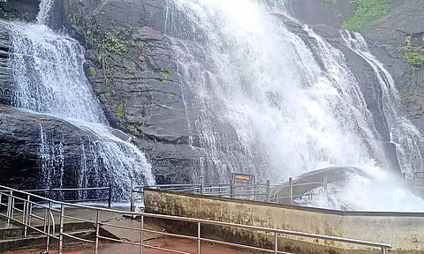 குற்றால மெயினருவியில் மீண்டும் குளிக்க அனுமதி