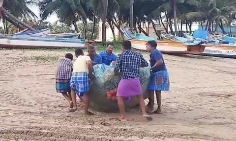 கடலூர் தாழங்குடா பகுதி மீனவர்கள் தங்கள்வலைகளை  பாதுகாப்பான இடங்களுக்கு எடுத்துச் செல்லும் காட்சி.