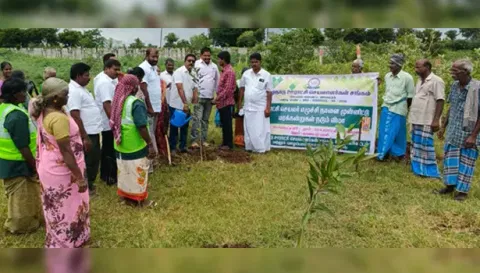 சோமம்பட்டியில் மரக்கன்றுகள் நடும் விழா நடைபெற்றபோது எடுத்த படம்.