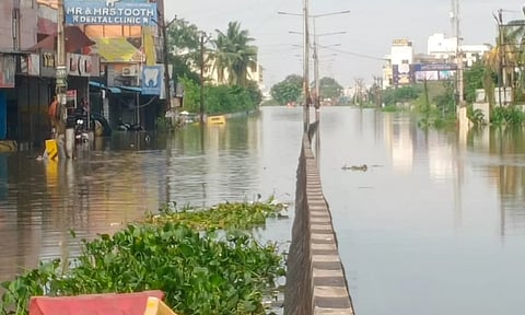 மிச்சாங் புயல் கனமழையில் சாலை ஓரங்களில் குவிந்த குப்பைகள்...
