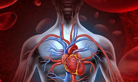இதயத்தில் இத்தனை செயல்பாடுகளா...!