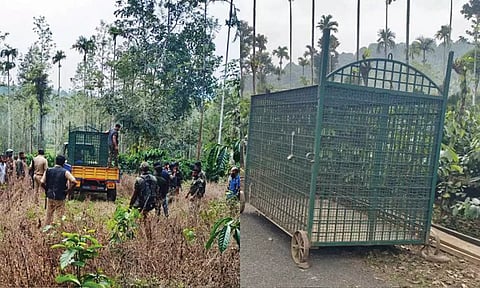 விவசாயியை கொன்ற புலியை பிடிக்க 80 பேர் குழு தேடுதல் வேட்டை- வனப்பகுதியில் துப்பாக்கியுடன் ரோந்து