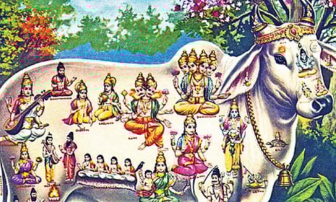 சகல பாக்கியங்களைத் தரும் நந்த சப்தமி