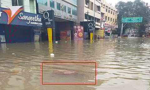 நெல்லை சந்திப்பு பஸ் நிலையம் முன்பு வெள்ள நீரில் ஆண் சடலம் மிதந்த காட்சி.