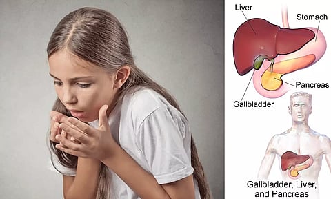 பித்த அமில நீர் அதிகமாக சுரந்தால் ஆபத்தா...!