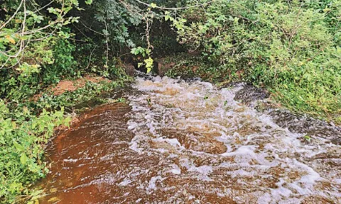 மதுராந்தகம் அருகே புதுப்பட்டி தாங்கல் ஏரி உடைந்து தண்ணீர் வீணாக வெளியேறும் காட்சி.