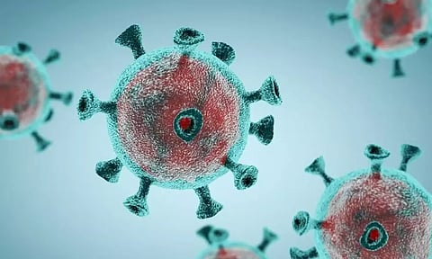 JN.1  புதிய உருமாறிய வைரசால் ஆபத்து இல்லை... என்றாலும்...