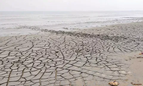 வேதாரண்யத்தில் 100 அடி தூரம் கடல் உள்வாங்கியது