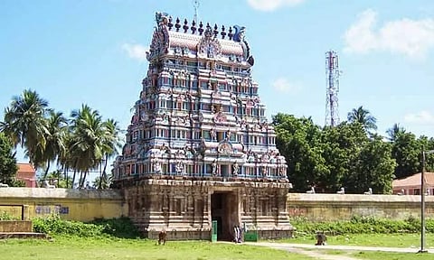 திருவெண்காடு தலவிருட்சங்கள்