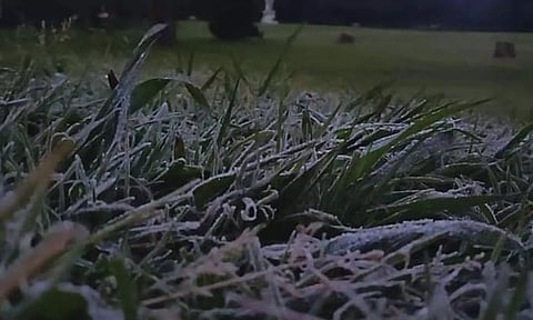 ஊட்டியில் 7.3 டிகிரி செல்சியஸ் வெப்பநிலை பதிவு கடும் குளிர்-பனிப்பொழிவால் மக்கள் அவதி