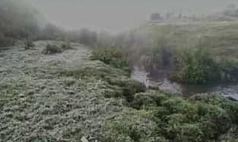 6.6 டிகிரி செல்சியஸ் வெப்பநிலை பதிவு: நீலகிரியில் கொட்டி தீர்க்கும் உறைபனி