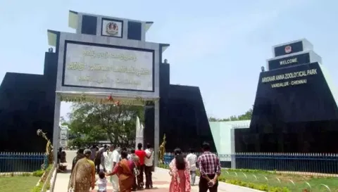 வண்டலூர் பூங்காவில் ஒரே நாளில் 13 ஆயிரம் பேர் குவிந்தனர்