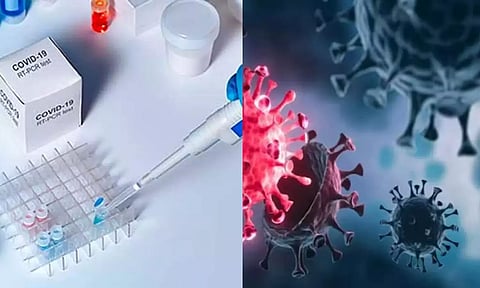 ஜேஎன்1 புதிய கொரோனா அதிக வீரியம் இல்லாதது