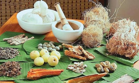 மழைக்கால நோய்களுக்கு நிவாரணம் தரும் சித்த மருத்துவம்