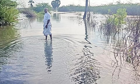 தட்டார்மடம்- புத்தன்தருவை சாலை துண்டிப்பு