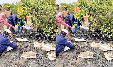 அலையாத்தி தாவரத்தில் படிந்த எண்ணெய் படலத்தை அகற்றும் ஊழியர்கள்.