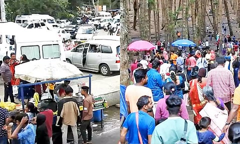 கொடைக்கானல் பைன் பாரஸ்ட் பகுதியில் குவிந்த சுற்றுலா பயணிகள்.