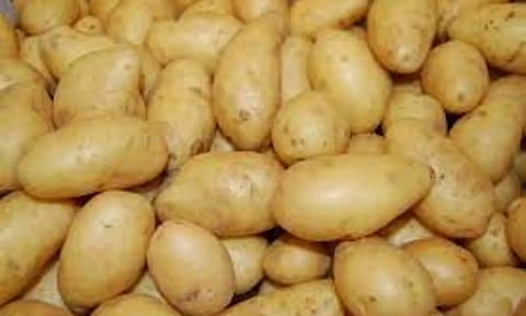 லாரி டிரைவர்கள் போராட்டம்: மேட்டுப்பாளையத்துக்கு உருளைக்கிழங்கு வரத்து குறைவு