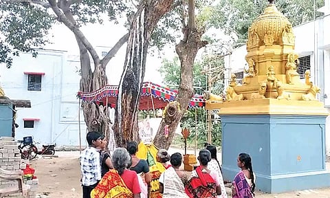 காளியம்மன் கோவில் வேப்பமரத்தில் இருந்து பால் வடியும் அதிசயம்- பக்தர்கள் வியந்து தரிசனம்