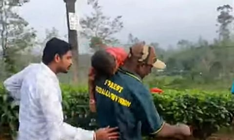 சிறுத்தை தாக்கி 3 வயது குழந்தை உயிரிழந்த பரிதாபம்