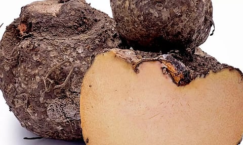 தவிர்க்கக் கூடாத கிழங்கு!