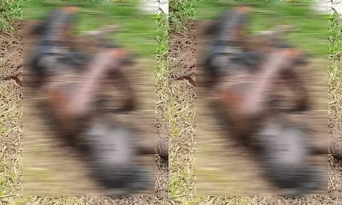 கேரளாவில் மாயமான பாதிரியார் கம்பத்தில் எரித்துக் கொலை?