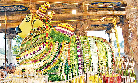 மாட்டுப் பொங்கலை முன்னிட்டு தஞ்சை பெரிய கோவில் மகாநந்திக்கு 2 டன் அளவிலான காய்கறி, பழங்கள், இனிப்புகளால் சிறப்பு அலங்காரம் செய்யப்பட்டிருந்ததை காணலாம்.