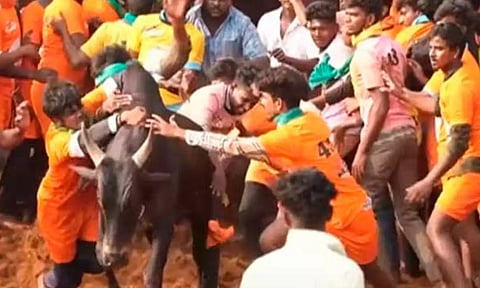 விறுவிறுப்பாக நடந்த பாலமேடு ஜல்லிக்கட்டு நிறைவடைந்தது