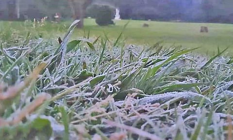 ஊட்டியில் புல்தரைகள் மீது உறைபனி படர்ந்திருக்கும் காட்சி.