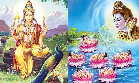 பகைமையை விரட்டும் தைப்பூசம்