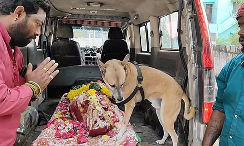 எஜமானி உடலுடன் சுடுகாடு வரை சென்று பாச போராட்டம் நடத்திய நாய்