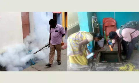 நெல்லையில் டெங்கு தடுப்பு பணிகள் தீவிரம்