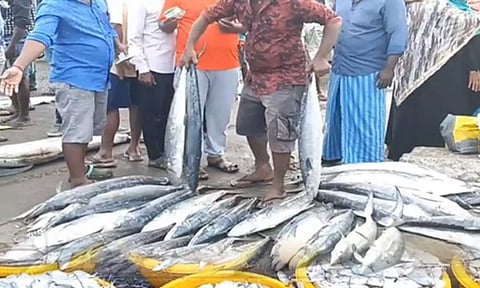 காசிமேட்டில் ஒரு மாதத்துக்கு பிறகு மீன் விற்பனை அதிகரிப்பு