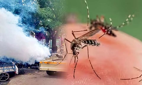 சென்னையில் கொசுத்தொல்லை அதிகரிப்பு: புகை அடித்து ஒழிக்கும் பணி தீவிரம்