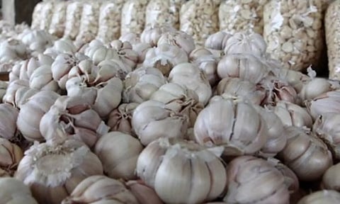 2 மாதங்களுக்கு மேலாக 350 ரூபாயாக நீடிக்கும் பூண்டு விலை- பொதுமக்கள் அதிர்ச்சி