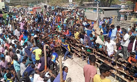 எருது விடும் விழா- 350 காளைகள் சீறிப்பாய்ந்தன