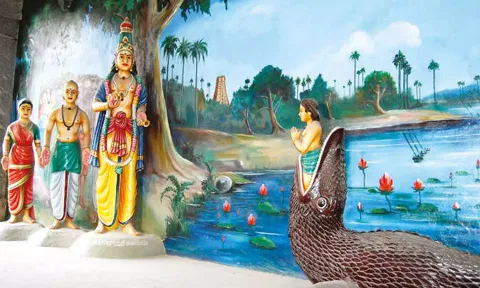முதலை வாயில் இருந்து மீண்ட சிறுவன்