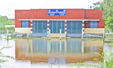 நெல்லை, தூத்துக்குடியில் பரவலாக பெய்தது: கடம்பூர், கழுகுமலையில் 4 சென்டி மீட்டர் மழை பதிவு