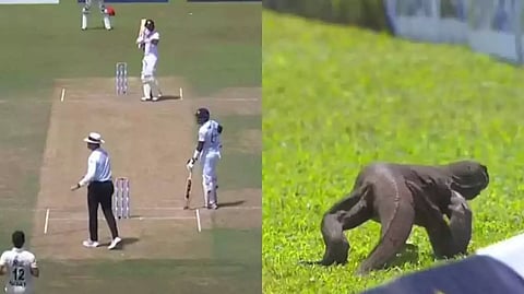 நாங்களும் விளையாட்டுக்கு வரலாமா.. மைதானத்துக்குள் நுழைந்த உடும்பு.. வைரலாகும் வீடியோ