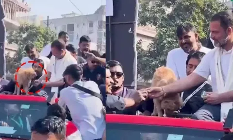 நாய் சாப்பிட மறுத்த பிஸ்கட்டை தொண்டருக்கு கொடுத்த ராகுல் - பா.ஜ.க. விமர்சனம்