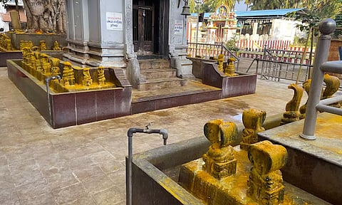 கொடிமரமும் தல விருட்சமும்